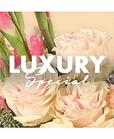 Luxury Floral Special Designer's Choice