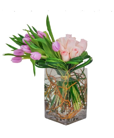 Luxury Flower Designe Holiday Arrangement in San Juan, PR | ELIKONIA FLOWERS Luxury Flower Designe Holiday Arrangement in San Juan, PR | ELIKONIA FLOWERS