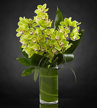 Luxury Orchids Vase Arrangement in Sunrise, FL | FLORIST24HRS.COM