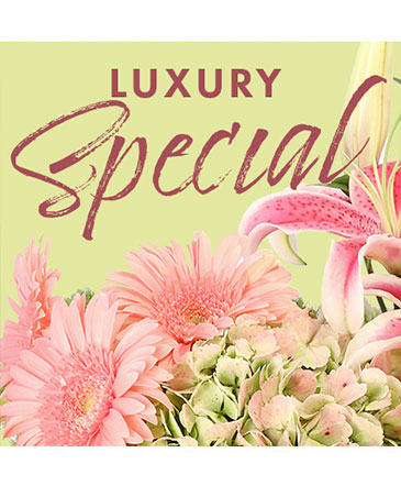 Luxury Special Designer's Choice