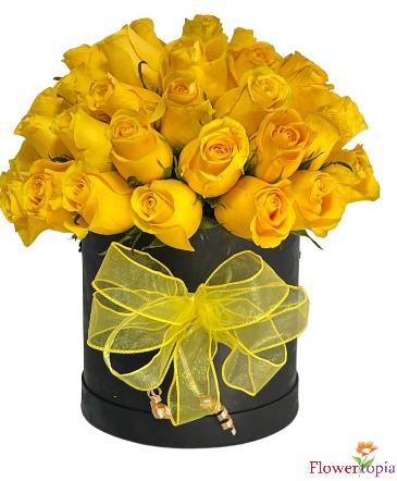 Luxury Yellow Rose Box Elegant Box of Yellow Roses in Miami, FL | FLOWERTOPIA
