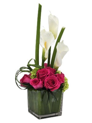 Luz de Gratitud Mothers day 2025