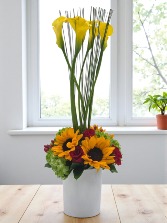 “Luz de mi Vida” Valentine 2026