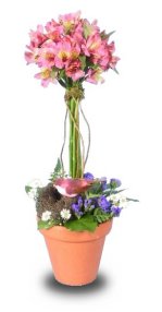 GARDEN TOPIARY of Flowers