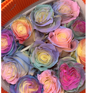M.Cielo Roses  