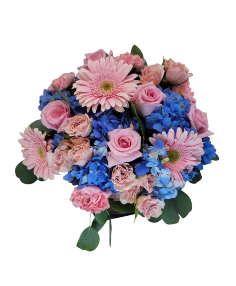 Category Image