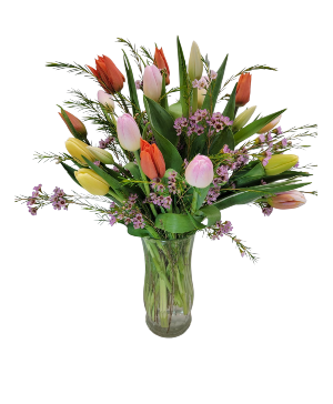 M12 Terrific Tulips 