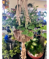 Macrame Hanging Ivy Plant  