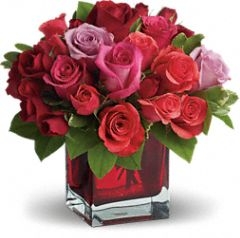 Madly in Love with Red Roses Elegant 