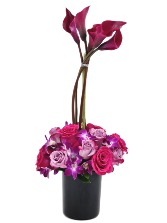 Madre, Mi Primavera Mothers day 2025
