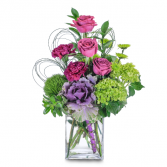 Magenta Sky Arrangement