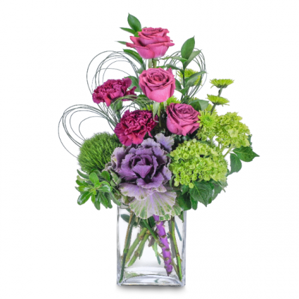 Magenta Sky Arrangement