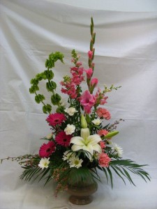 Category Image