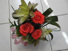 Category Image
