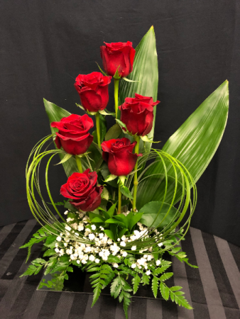 Magical Love roses