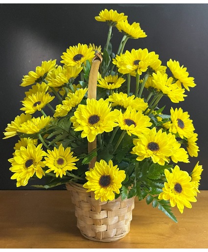 Magical Miniature Sunflowers Viking sunflowers in a basket