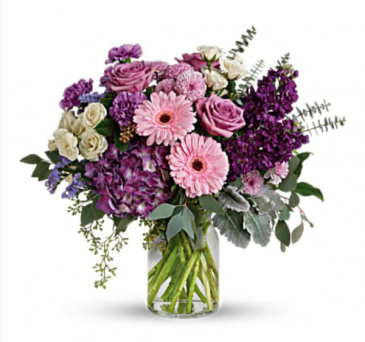 Magnificent Mauve