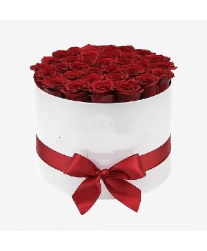 Magnifique Red Roses 