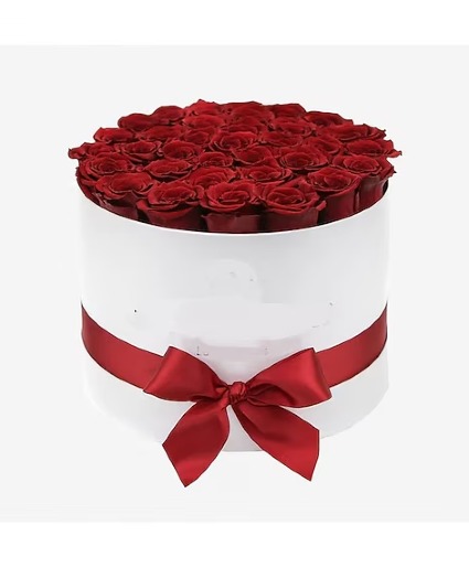 Magnifique Red Roses 