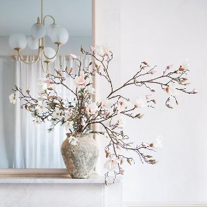 Magnolia Branches  Flowering Branches - Next day Delivery only. 