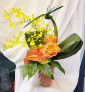 Mai Tai Fresh Arr