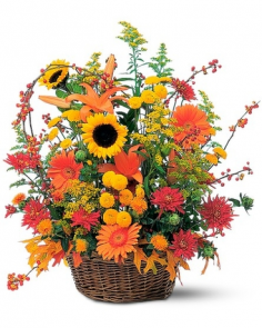 Category Image