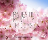 Majestic Monthly Blooms Floral Subscription 