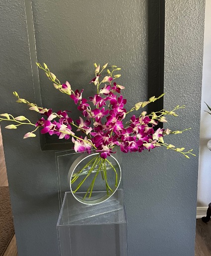 Majestic orchids