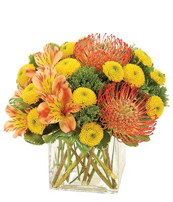 Majestic Sunrise Fall Flowers