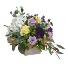 Graceful Blooms Flower