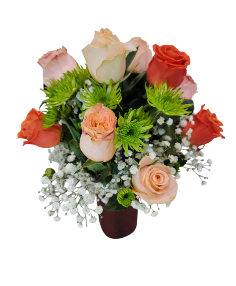 Category Image