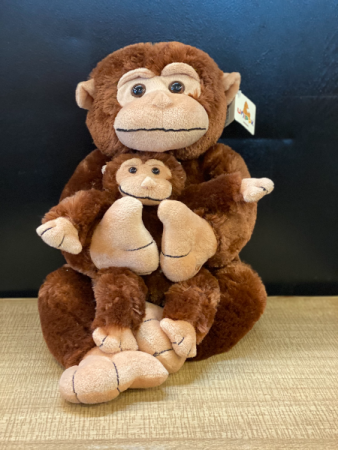 Mama monkey with baby