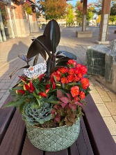 Many Thanks Seasonal Planter