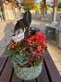 Many Thanks Seasonal Planter