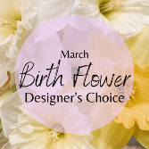 March Birth Flower Designer's Choice Designer's Choice