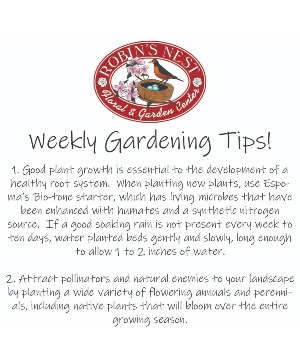 Gardening Tips  