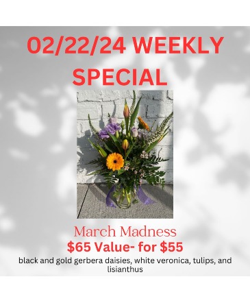 March Madness Mid-height in Coralville, IA | Every Bloomin' Thing