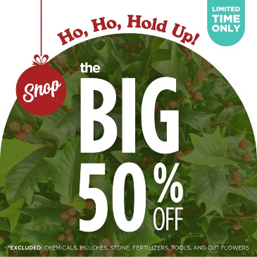 December Sale • IN-STORE SALE in Easton, MD | ROBINS NEST FLORAL AND GARDEN CENTER December Sale • IN-STORE SALE in Easton, MD | ROBINS NEST FLORAL AND GARDEN CENTER