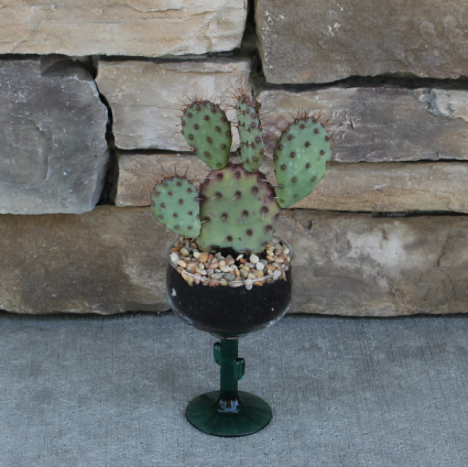 Margaritaville Cactus