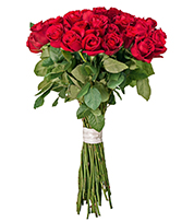 Maria Bouquet