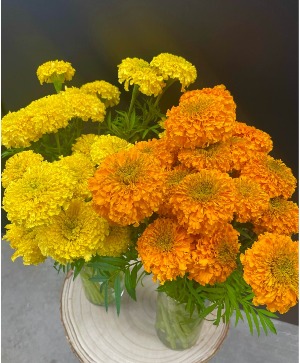 MARIGOLD  CUT STEMS