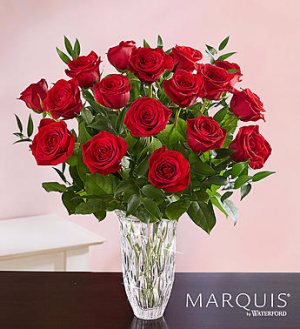 Marquis by Waterford® Premium Long Stem Red Roses in Valley City, OH | HILL HAVEN FLORIST & GREENHOUSE Marquis by Waterford® Premium Long Stem Red Roses in Valley City, OH | HILL HAVEN FLORIST & GREENHOUSE