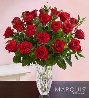 Marquis By Waterford Premium Red Roses in Dearborn, MI | LAMA'S FLORIST Marquis By Waterford Premium Red Roses in Dearborn, MI | LAMA'S FLORIST