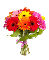 Marta Bouquet