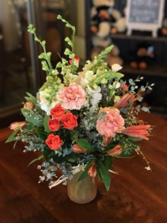 Mary Anne Spring Collection