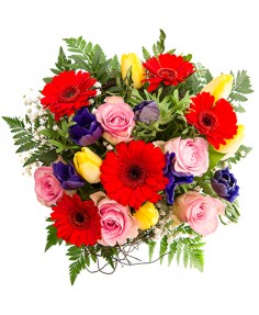 Category Image