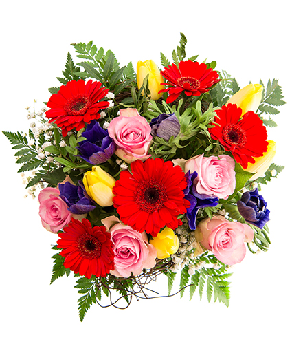 Evelyn Bouquet