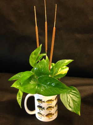 Masculine fishing coffee mug planter Masculine decor in Detroit Lakes, MN | DETROIT LAKES FLORAL Masculine fishing coffee mug planter Masculine decor in Detroit Lakes, MN | DETROIT LAKES FLORAL