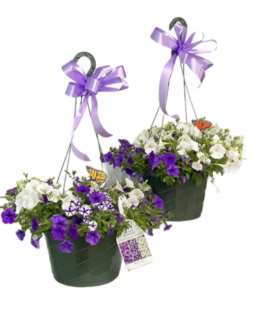 MATCHING HANGING BASKETS FOR MOM GREENHOUSE SPECIAL in Lewiston, ME | BLAIS FLOWERS & GARDEN CENTER
