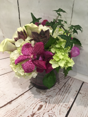 Mauvine in Easton, CT | Felicia's Fleurs Mauvine in Easton, CT | Felicia's Fleurs